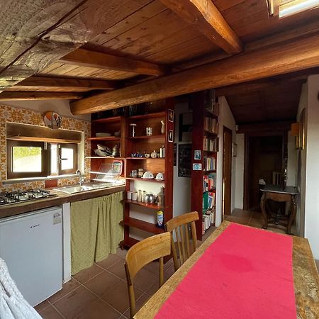 Villa Country House Tra Lago E Mare A Sud Di Roma Campoleone Exterior foto