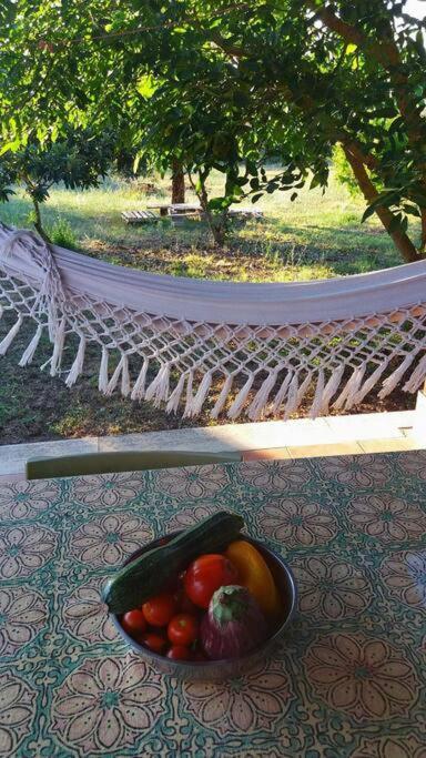 Villa Country House Tra Lago E Mare A Sud Di Roma Campoleone Exterior foto