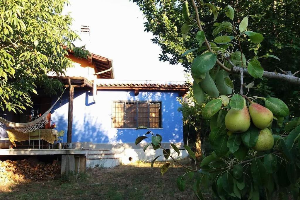 Villa Country House Tra Lago E Mare A Sud Di Roma Campoleone Exterior foto